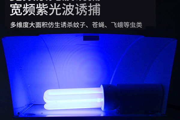 幼兒園如何滅蚊？幼兒園室內室外滅蚊方案