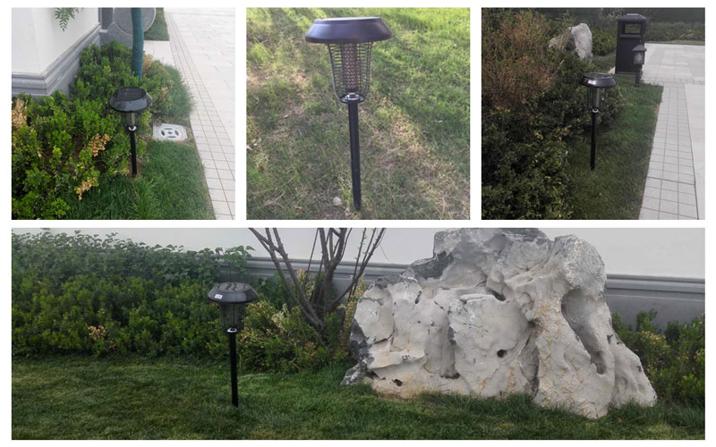 寧夏桃李春風(fēng)小區滅蚊燈效果案例