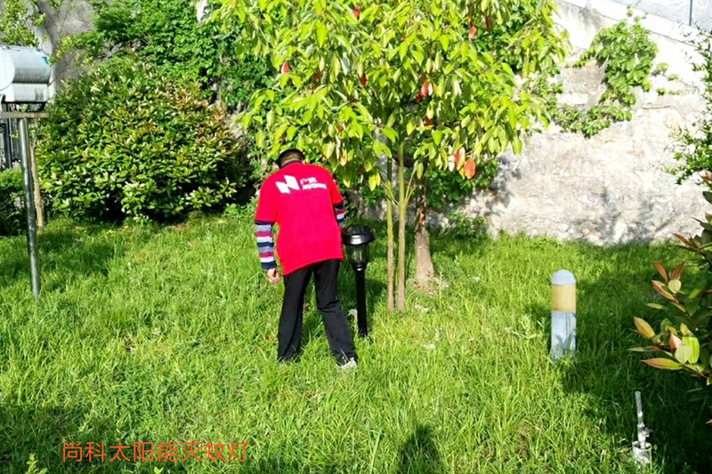 西安旅游度假山莊用太陽(yáng)能滅蚊燈進(jìn)行戶(hù)外滅蚊效果