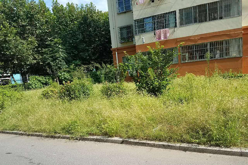 小區蚊子多物業(yè)不管