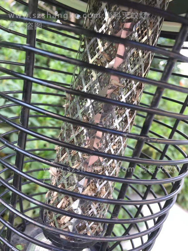 天熱了蚊子來(lái)了，別墅庭院太陽(yáng)能滅蚊燈