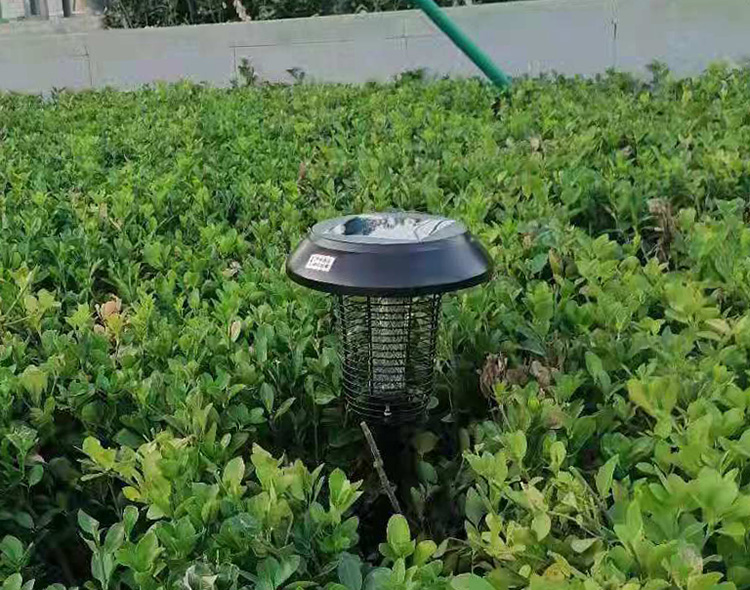 別墅花園怎么滅蚊，方法分享