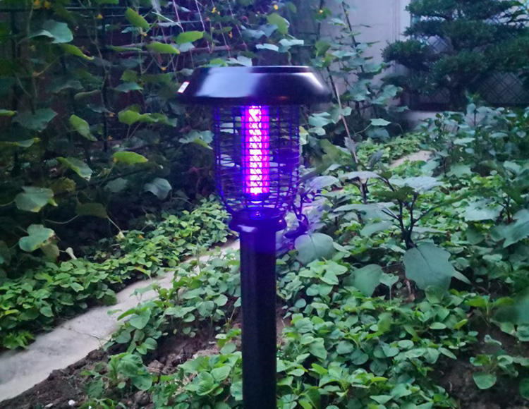 除了滅蚊燈，夏天戶(hù)外防蚊的方法還有哪些